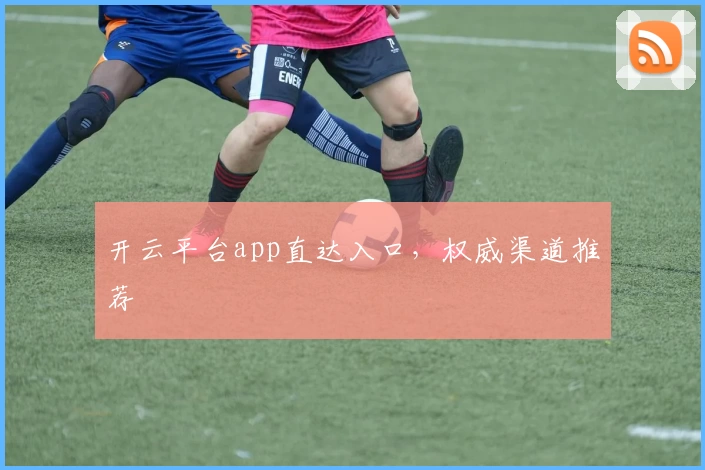开云平台app直达入口,权威渠道推荐