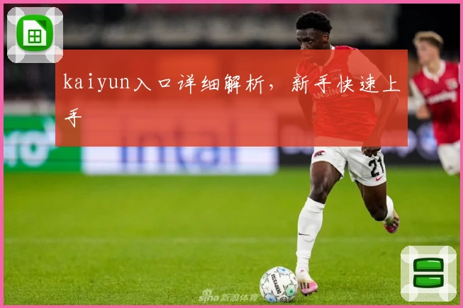 kaiyun入口详细解析，新手快速上手