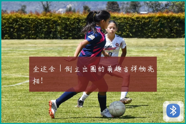 全运会｜倒立出圈的萌趣吉祥物亮相！