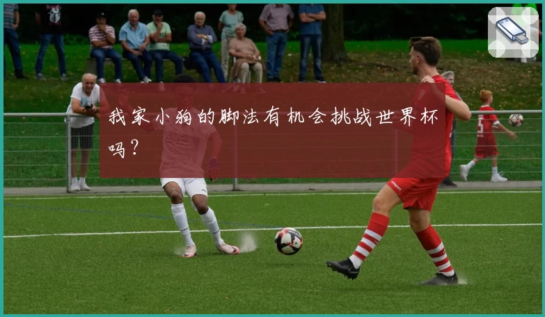 我家小狗的脚法有机会挑战世界杯吗？