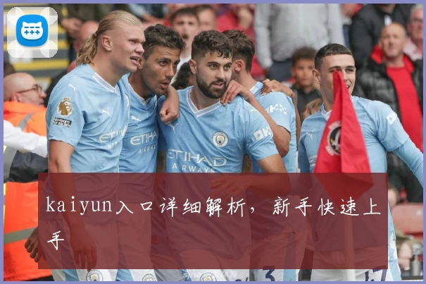 kaiyun入口详细解析，新手快速上手